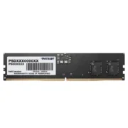 حافظه رم PATRIOT SIGNATURE 8GB Dual DDR5 5200MHz CL42